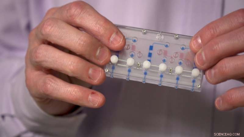 Kidney‑On‑a‑Chip Set for Space Station Mission