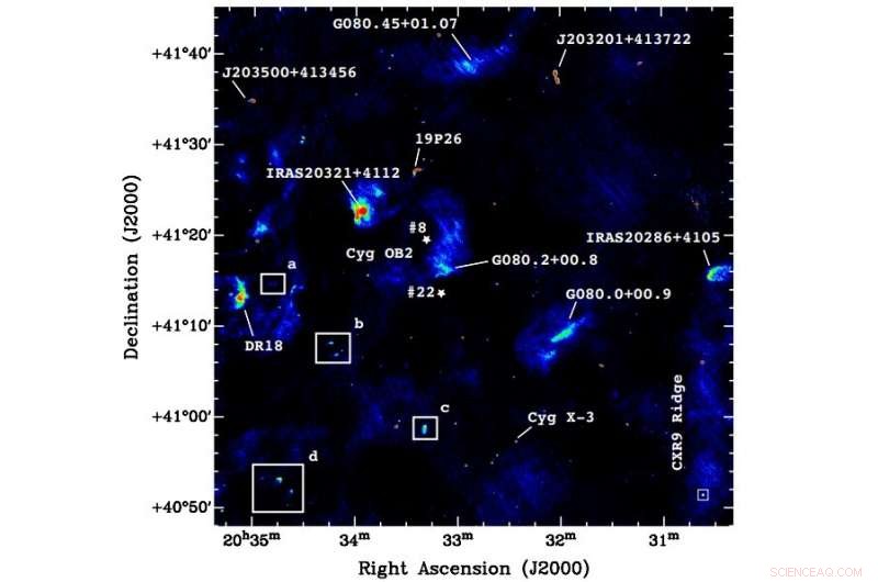 Astronomers Observe Free‑Floating Evaporating Gas Globules in Cygnus OB2 Using 325 MHz Radio Imaging