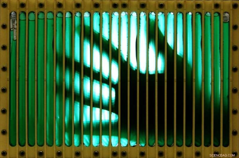 Advancing Life Support: Harnessing Microalgae for Sustainable Space Travel