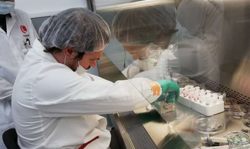 Space Mission Aims to Halt Aging with Nanoceria Antioxidants