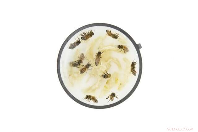 MIT Launches Six Suborbital Research Payloads on Blue Origin Flight