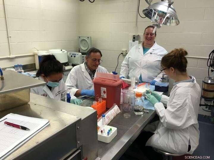 Maintaining Long-Term Health During Extended Space Missions