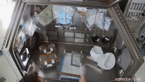 Maintaining Long-Term Health During Extended Space Missions