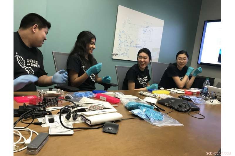 Investigating DNA Damage in Space to Safeguard Astronauts