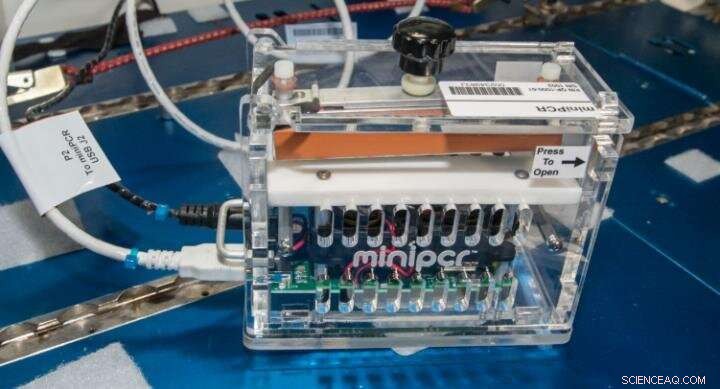 Investigating DNA Damage in Space to Safeguard Astronauts