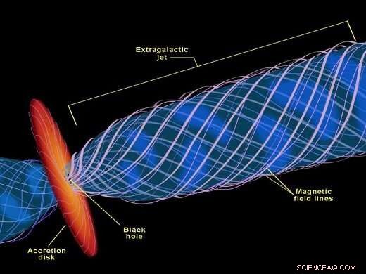 Common Magnetic Field Drives Both Jets and Winds in Galaxy Cores