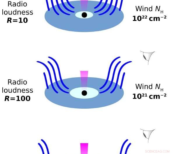 Common Magnetic Field Drives Both Jets and Winds in Galaxy Cores