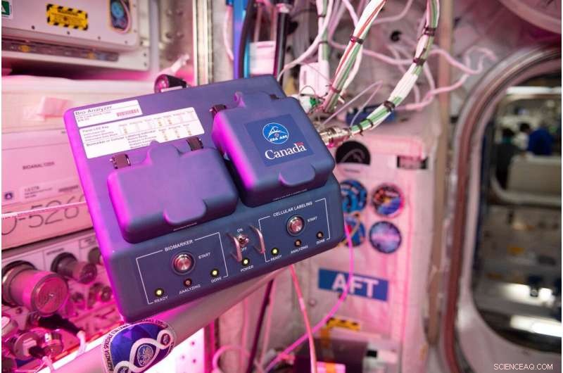 ISS Facility Accelerates Biomedical Analysis