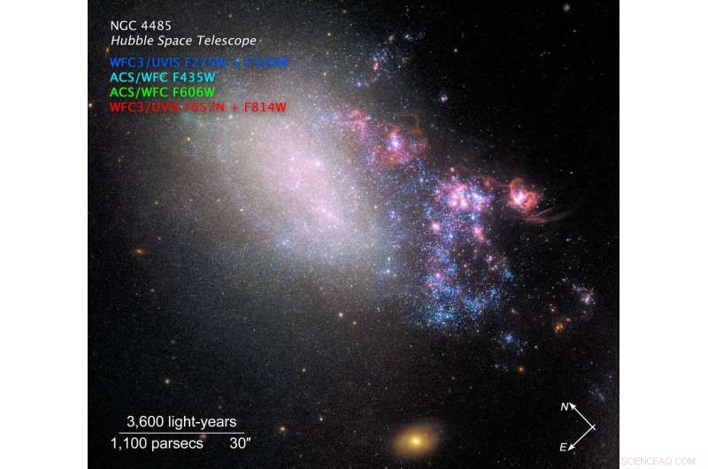 Galactic Fire: New Stars Ignite in NGC 4485 After Close Encounter