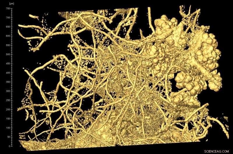 Are NASA’s Mars Life Searches Targeting the Wrong Rocks? A Fresh Look at Sedimentary Clues