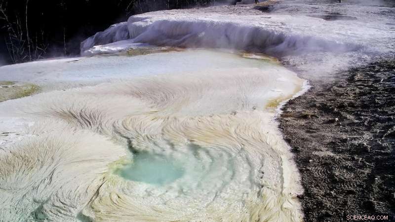 Scientists Identify Pasta-Like Rocks as Potential Biosignatures on Mars