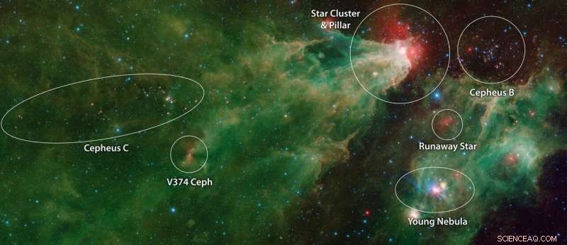 Spitzer Reveals Stellar Family Portrait in Cepheus Nebulae