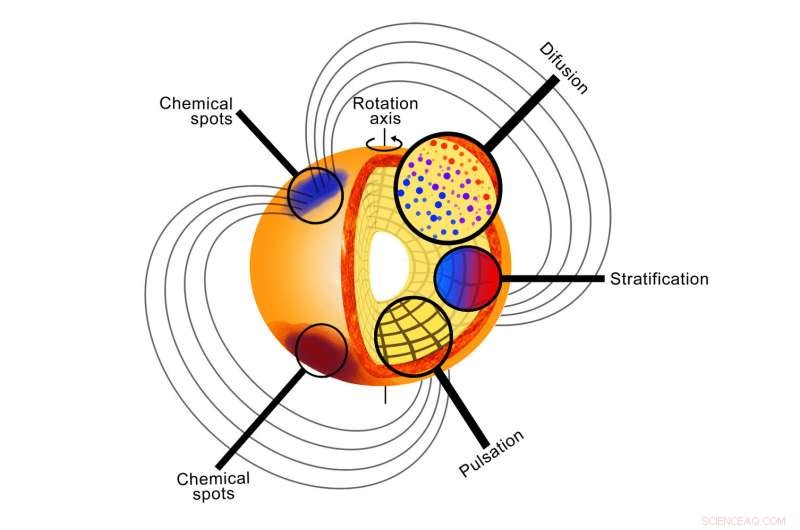 TESS Unveils Rare Rapidly Oscillating Ap Stars, Advancing Stellar Physics