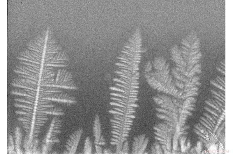 Rockets, Evaporating Droplets, and X‑ray Metal Analysis: An Insight into Space Experiments