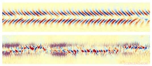 Simulations Reveal the Sun’s Dual Magnetic Personality