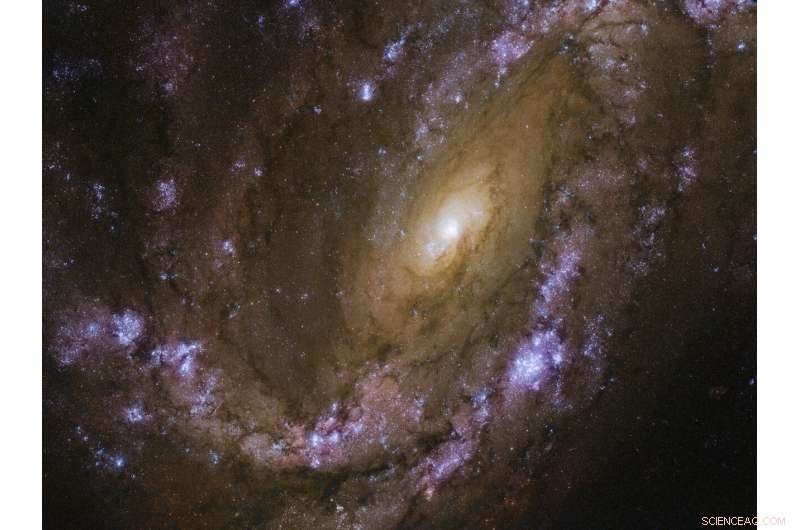 Hubble Targets the Explosive Spiral Galaxy NGC 4051