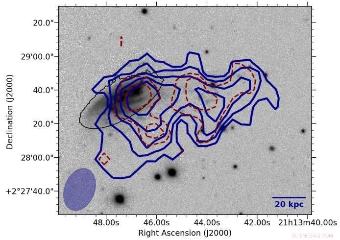 VLA Study Reveals Gas Stripping and Starburst Activity in Galaxy JO206