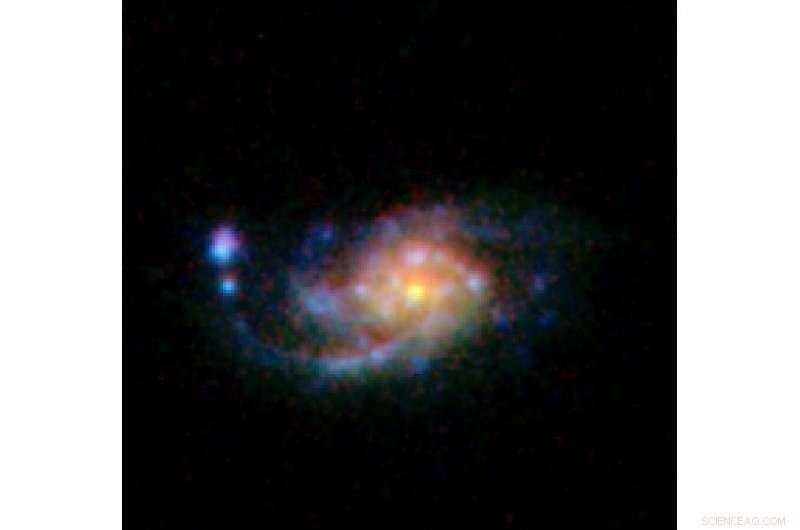 Spinning Halo Gas Drives Galactic Disk Expansion