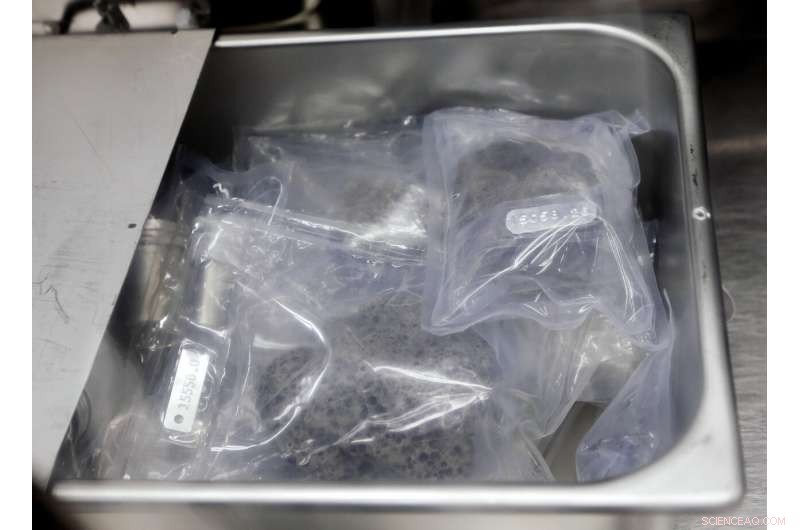 NASA Reveals Decades‑Old Apollo Moon Rock Samples for Modern Analysis