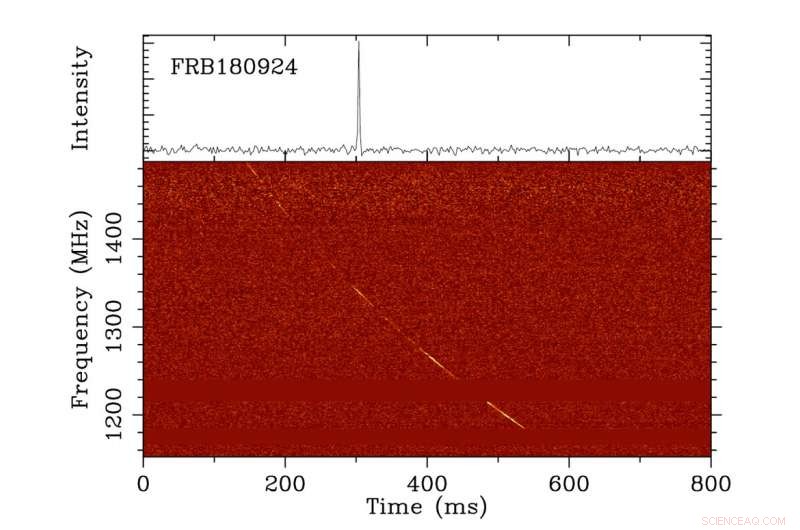 Pinpointing the Origin of a Fast Radio Burst in a Distant Galaxy