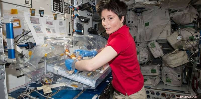 Australia’s Path to Space Leadership: Investing in Microgravity Research Rockets