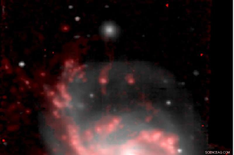 Black Hole Drives Gas Stripping in Jellyfish Galaxy JO201, Revealing Its Final Stage