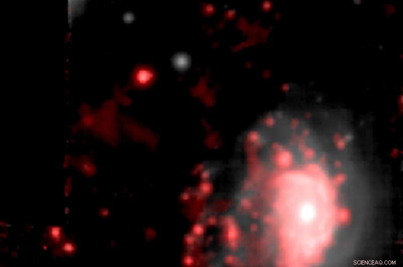 Black Hole Drives Gas Stripping in Jellyfish Galaxy JO201, Revealing Its Final Stage
