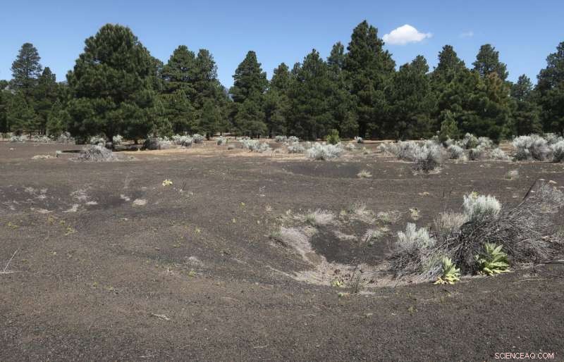 Astronauts Trained in Arizona’s Geology Before the First Moon Landing – Updated Insights