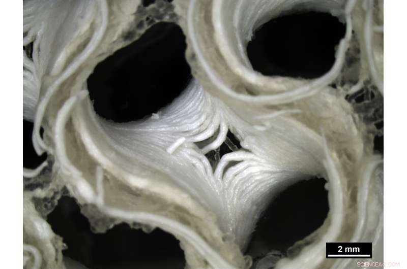 ESA Bioprinting Breakthrough: 3D-Printed Skin and Bone for Mars Missions