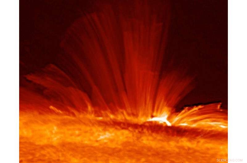 How Solar Weather Shapes Life on Earth