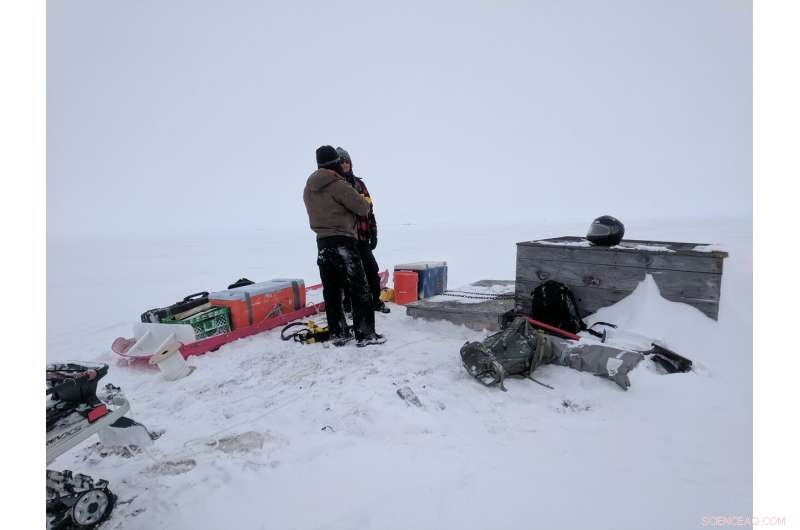 Salty, Subzero Arctic Waters Offer Insight into Life Beyond Earth