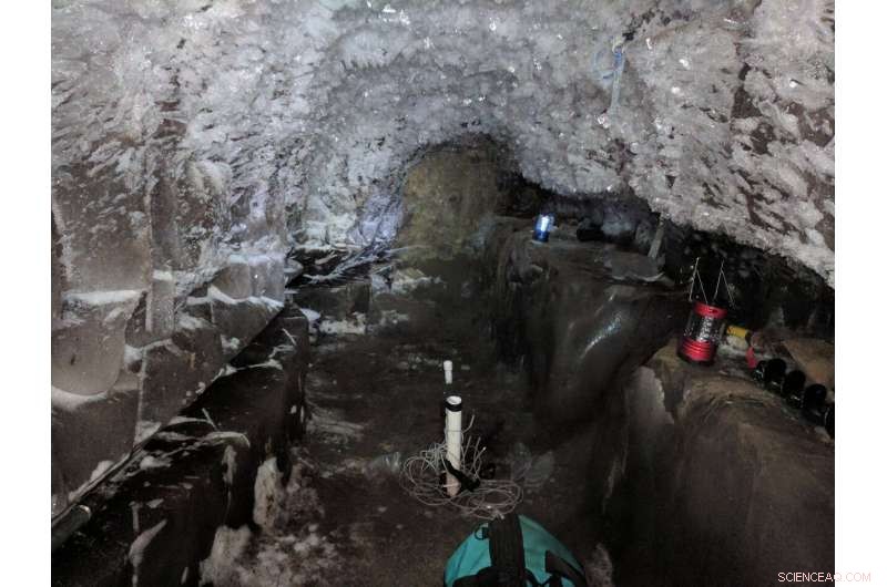 Salty, Subzero Arctic Waters Offer Insight into Life Beyond Earth