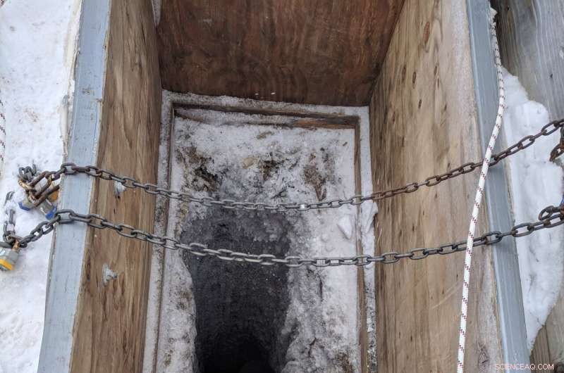 Salty, Subzero Arctic Waters Offer Insight into Life Beyond Earth