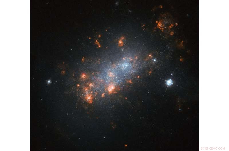 Hubble Captures Stunning Stellar Nurseries in NGC 1156: A Galactic Cherry Blossom