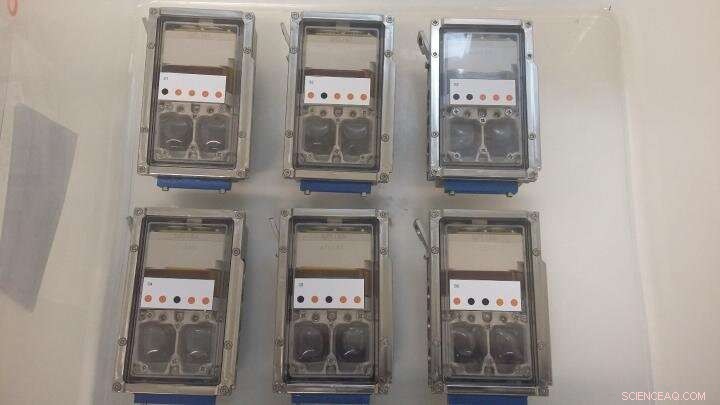 Microbes Fuel Space Mining: Sphingomonas in BioRock Experiment