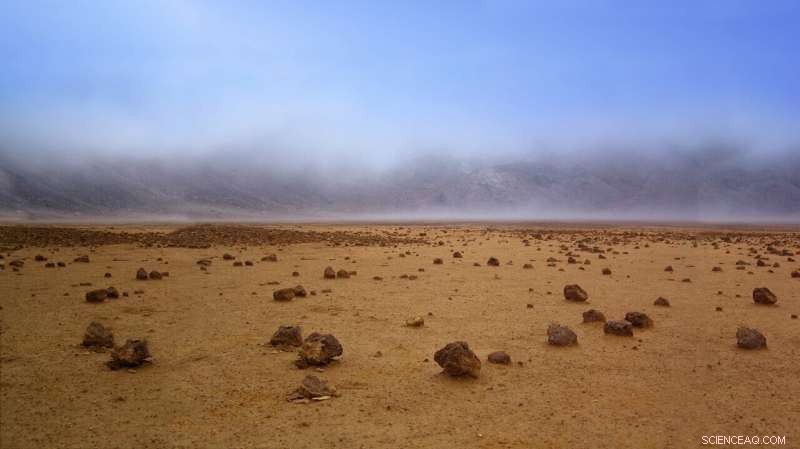 Can Earth Life Survive on Mars? Insights from BIOMEX Experiments