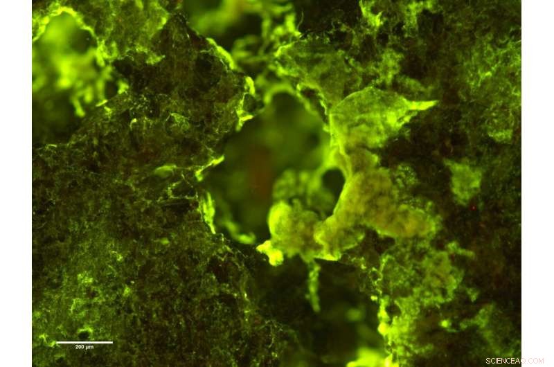 First Space Mining Kits Launch to ISS for Microbial Mineral Extraction Tests