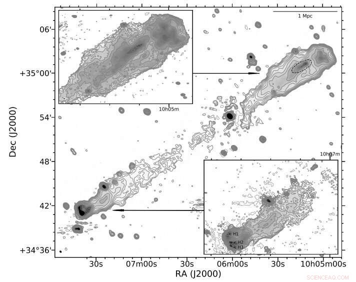 Unveiling 3C 236: LOFAR Sheds Light on the Giant Radio Galaxy s Structure
