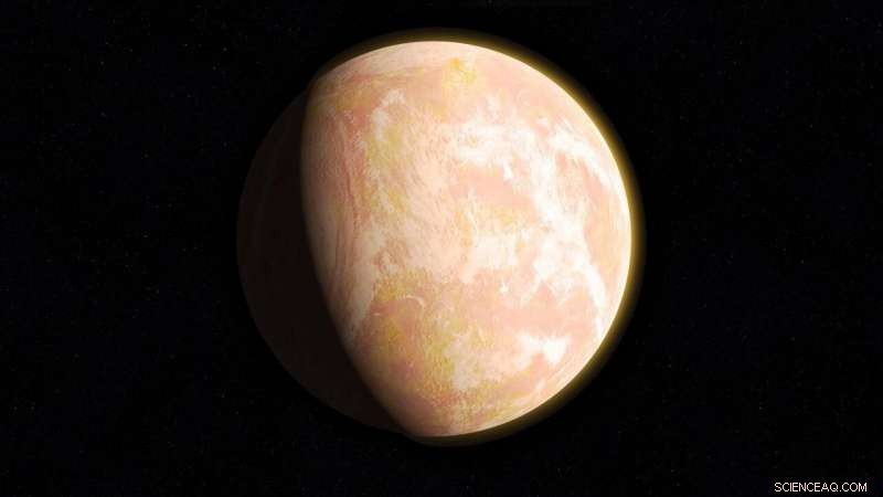 Illuminating the Search for Life: How Stellar Signatures Guide Exoplanet Exploration