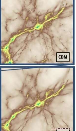 Exploring Warm Dark Matter: Insights from Early Universe Simulations