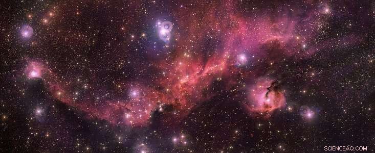 Unveiling the Seagull Nebula: A Deep Dive into Its Cosmic Structure