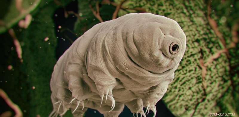 Tardigrades Sent to the Moon: Israel s Beresheet Mission Reveals Unexpected Microbes