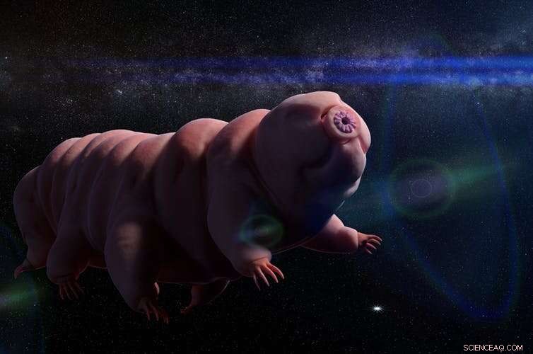 Tardigrades Sent to the Moon: Israel s Beresheet Mission Reveals Unexpected Microbes