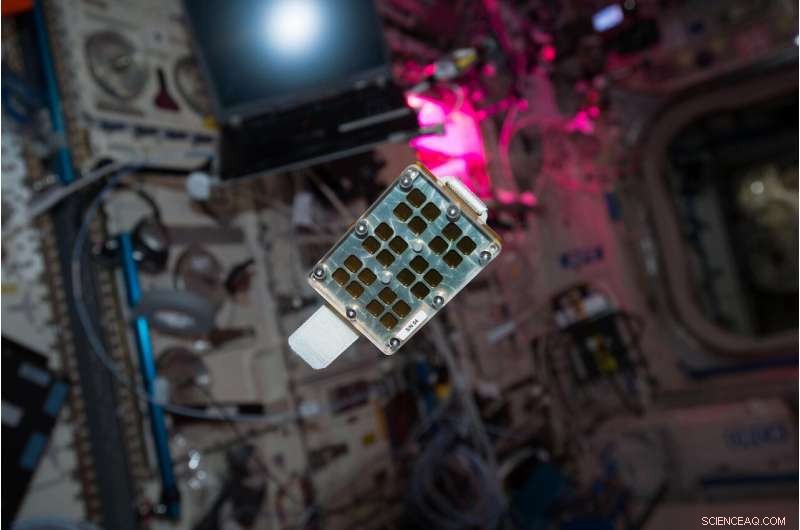 Exploring Boiling in Microgravity: The Rubi Experiment