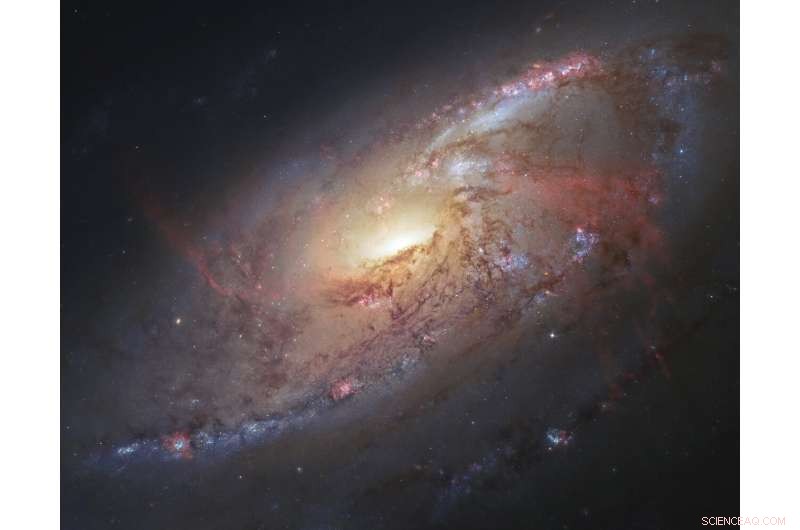 Hawaii vs. Spain: Experts Explain Why the Telescope Site Debate May Be Less Critical