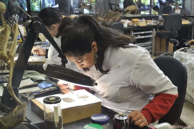 The Earth: A Nearby Exoplanet