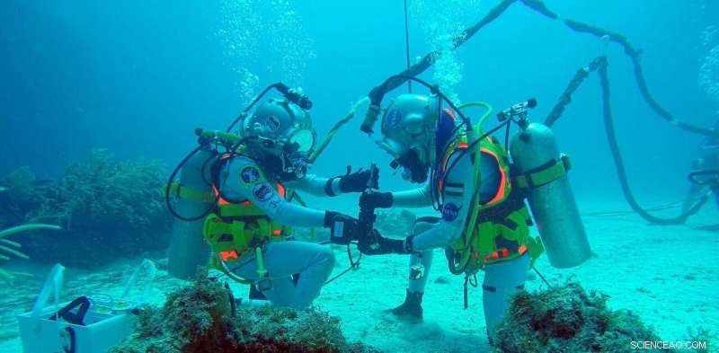 Understanding Human Stress in Underwater Habitats for Future Moon Missions