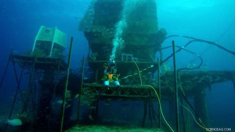 Understanding Human Stress in Underwater Habitats for Future Moon Missions