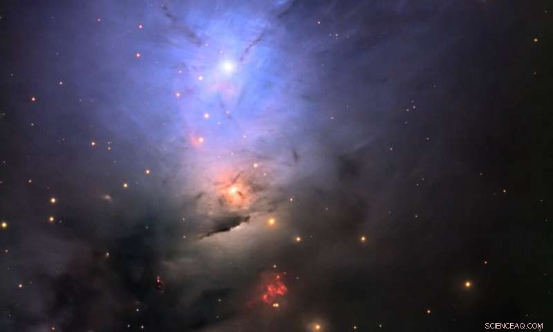 Understanding Protostellar Disk Rotation: New Findings in the Perseus Cloud