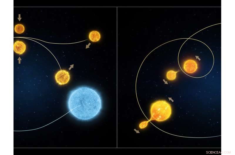 Hubble Unveils the Life Cycle of Star Clusters in the Large Magellanic Cloud